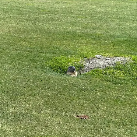 דירה Maison Carrel Elegant 4 ברויל-קרוויניה