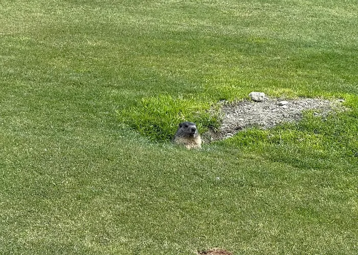 דירה Maison Carrel Elegant 4 ברויל-קרוויניה